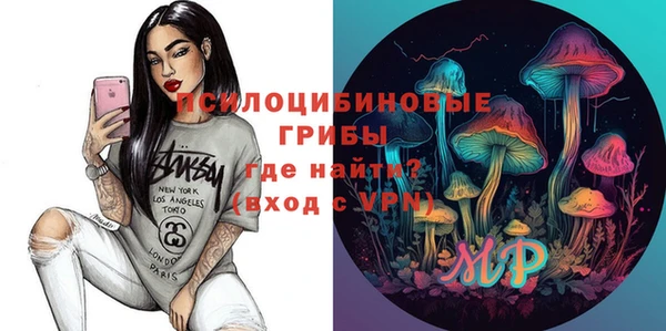 mdpv Кострома