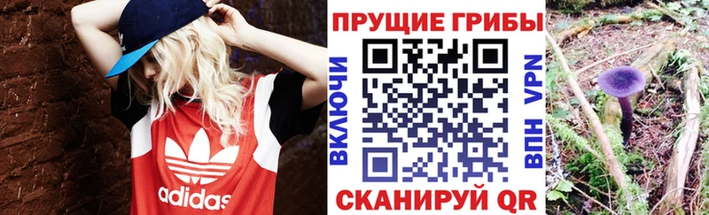 купить наркотики цена  Киржач  Галлюциногенные грибы ЛСД 