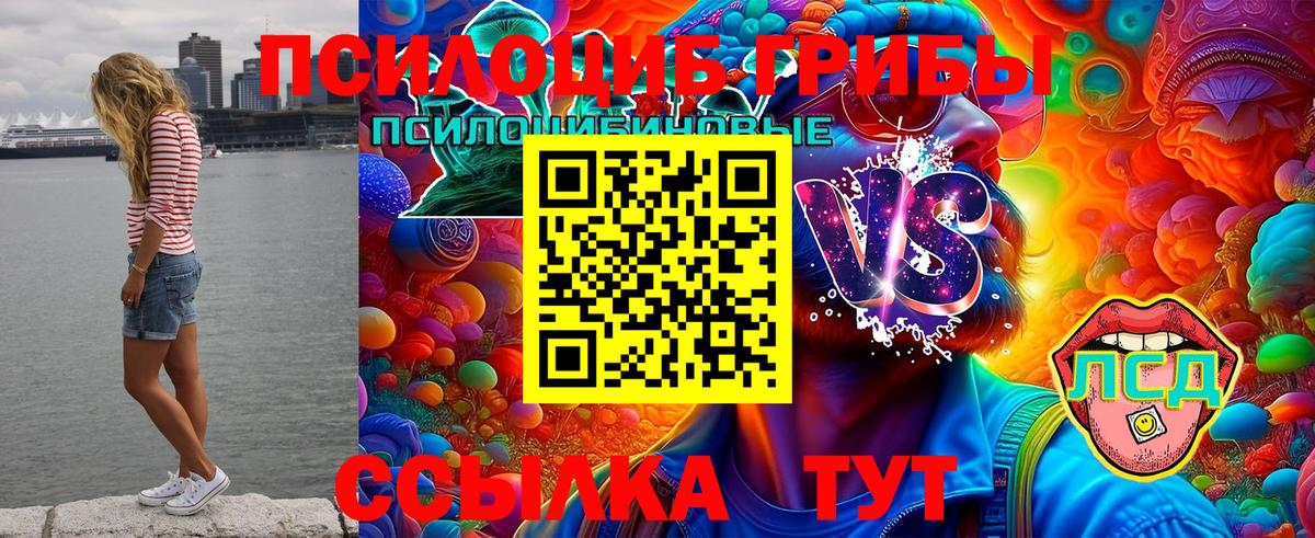 Киржач  COCAIN  Канабис  Вход с VPN  Гашиш  Меф МЯУ МЯУ   Alpha PVP СК кристаллы 
