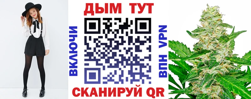 Бошки марихуана гибрид  купить закладку  Киржач 
